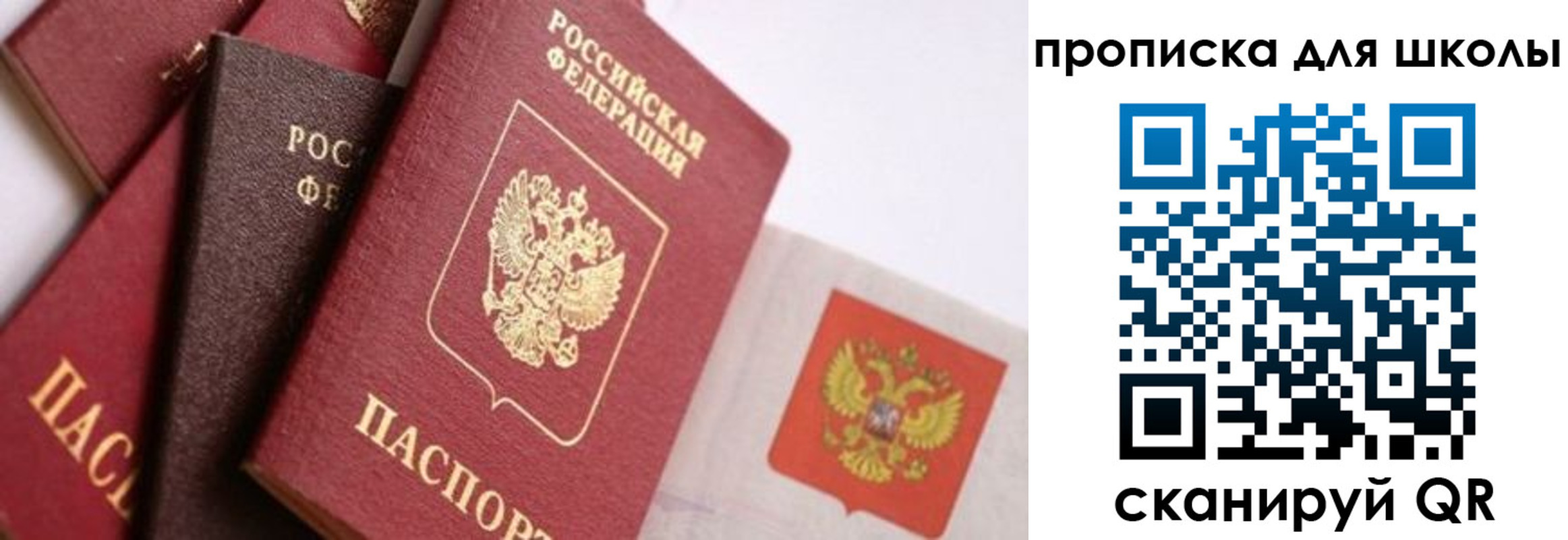 прописка поиск в Магадане